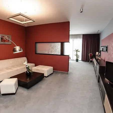 特伦钦马格努斯酒店 4* Trenčín