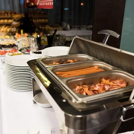 特伦钦马格努斯酒店 Trenčín