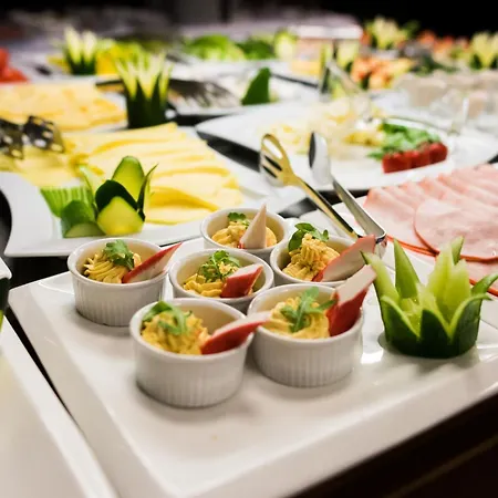 特伦钦马格努斯酒店 酒店 4*