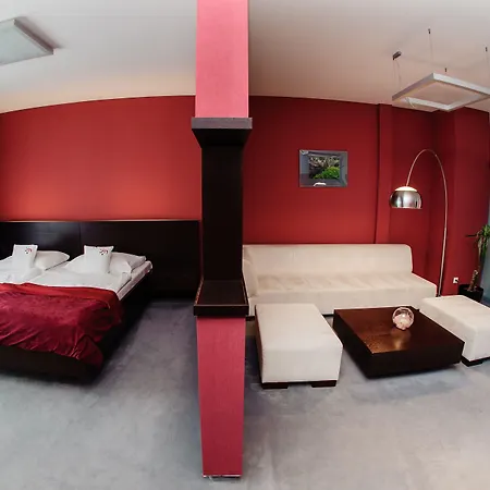 酒店 特伦钦马格努斯酒店 4*