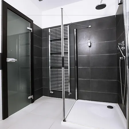 特伦钦马格努斯酒店 Trenčín