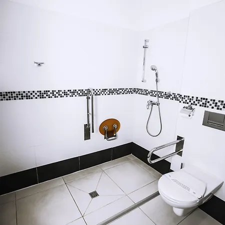 特伦钦马格努斯酒店 酒店