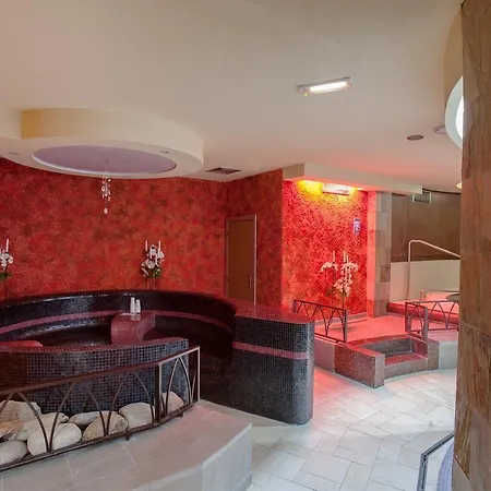 特伦钦马格努斯酒店 4*