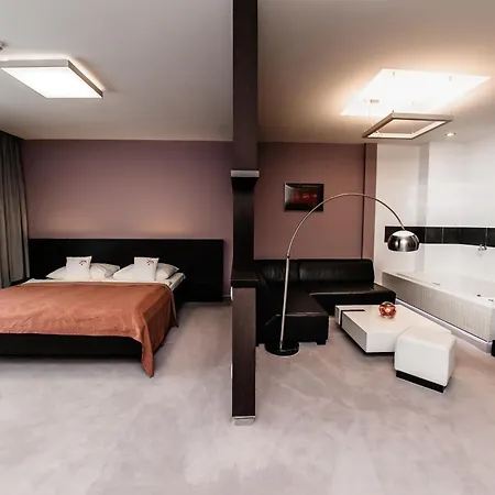 特伦钦马格努斯酒店 酒店 4*