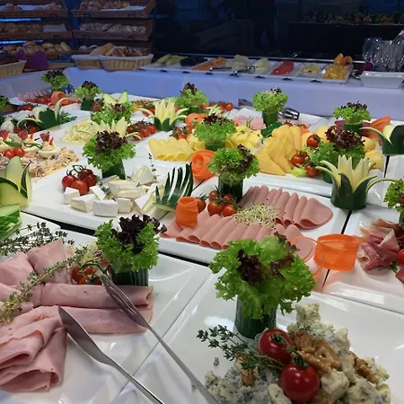 特伦钦马格努斯酒店 酒店 Trenčín