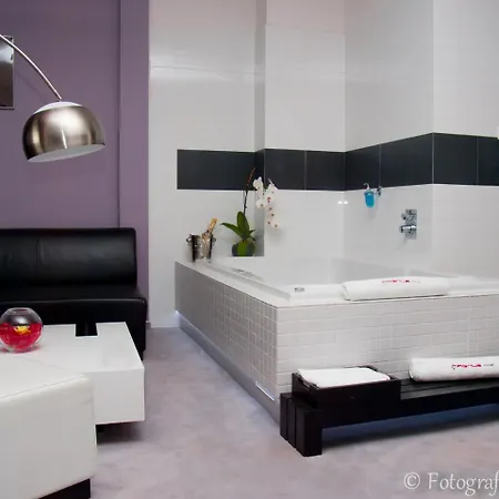 特伦钦马格努斯酒店 Trenčín