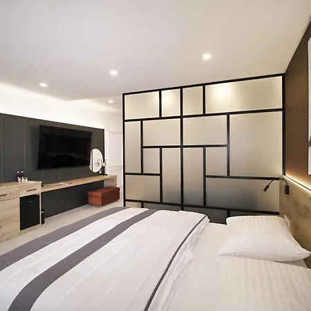 特伦钦马格努斯酒店 4*