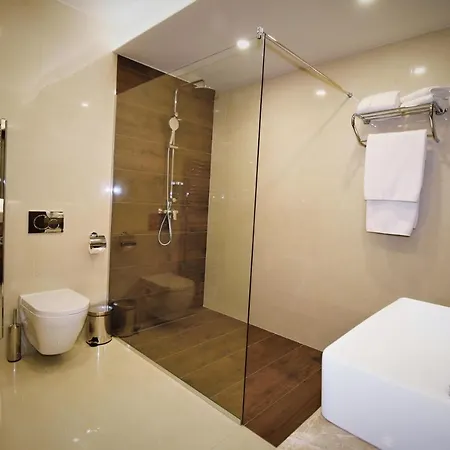 特伦钦马格努斯酒店 4*